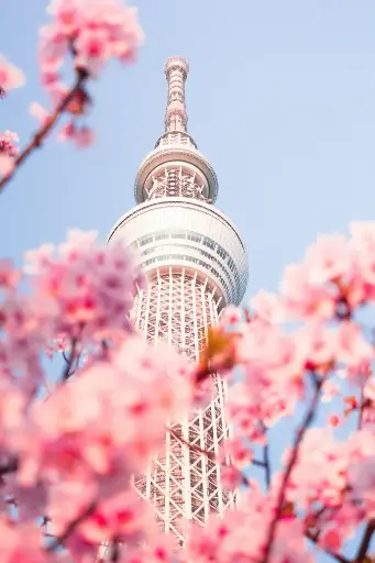 Vol Direct Paris - Tokyo à 700€